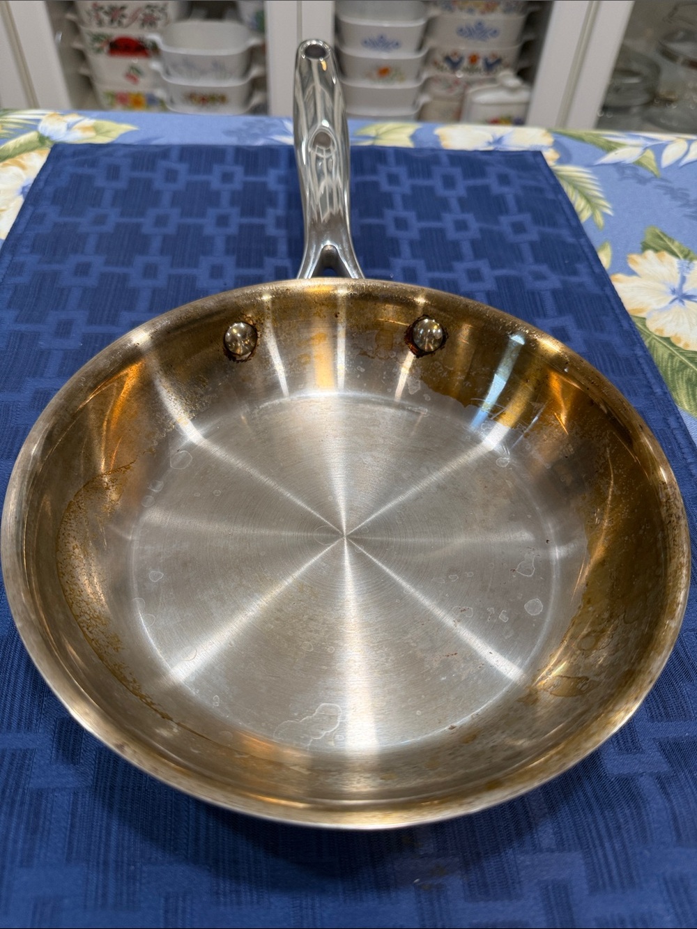 Pampered Chef Stainless Steel 8" Fry Pan